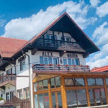 Alex & Maria Hotel Cărpinişu Exterior foto