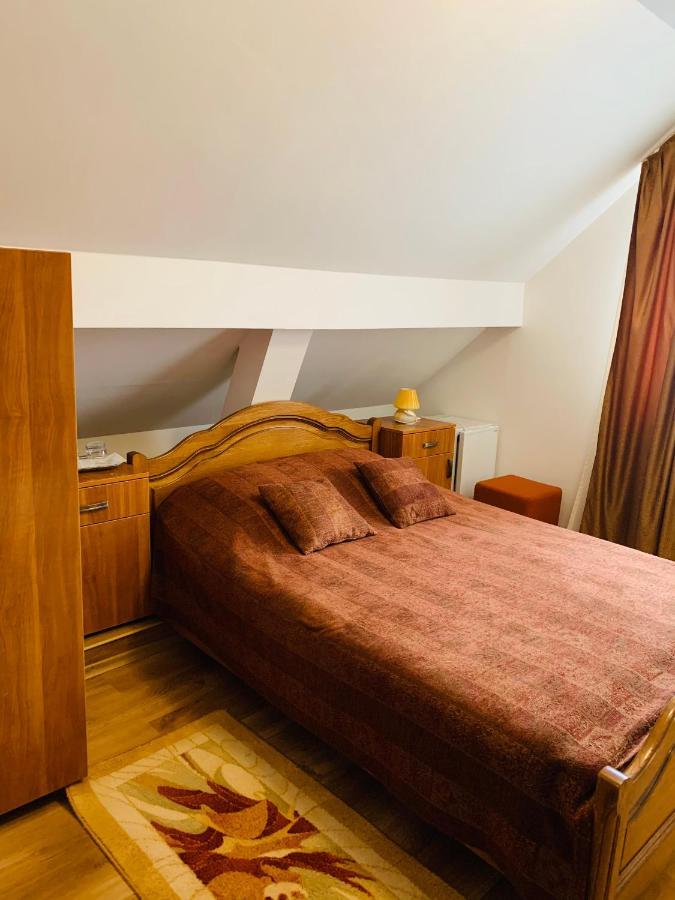 Alex & Maria Hotel Cărpinişu Exterior foto
