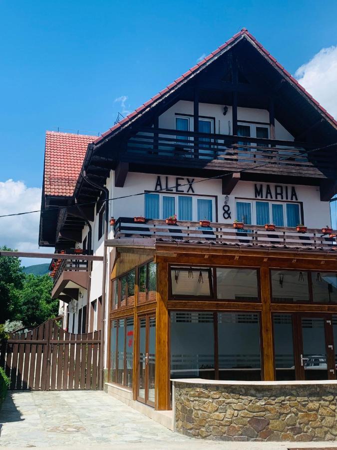 Alex & Maria Hotel Cărpinişu Exterior foto